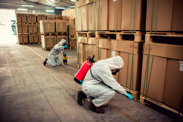 Best Termite Control Services  in Chattanooga, TN
