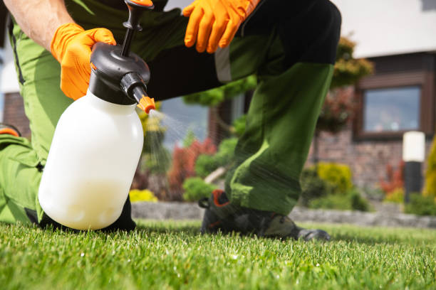 Best Pest Removal Services  in Chattanooga, TN