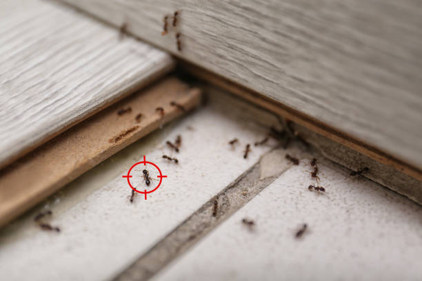 Chattanooga, TN Pest Control Company