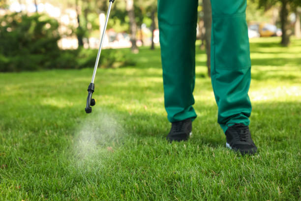 Best Pest Control Near Me  in Chattanooga, TN
