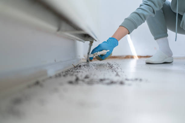 Pest Control Cost in Chattanooga, TN